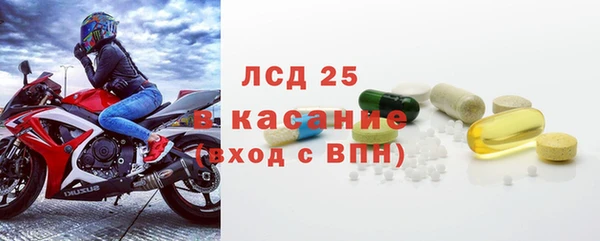 сатива Тайга