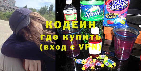 индика Фёдоровский