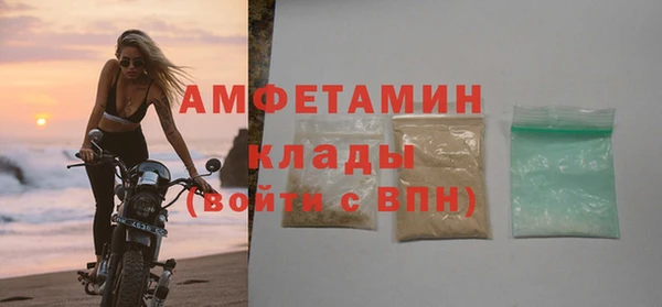 сатива Тайга