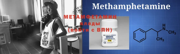 сатива Тайга